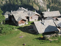 Alpenzu