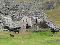 die Hütte des freundichen Senners