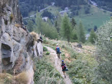 der Pfad