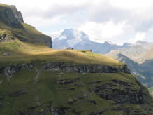 die Landschaft